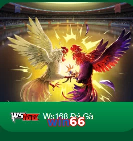win66