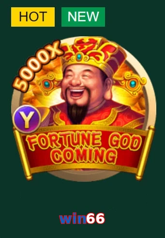 win66