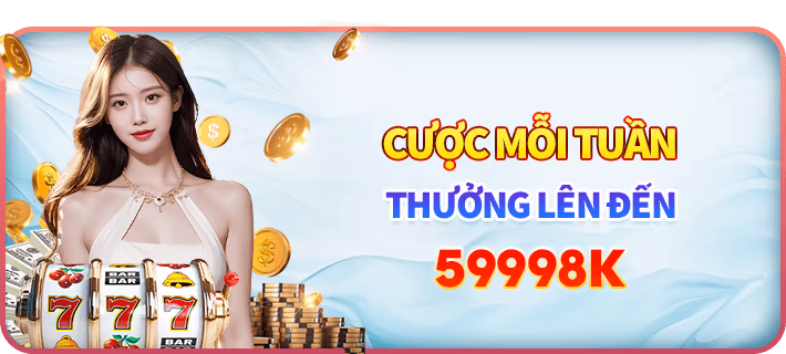 win66